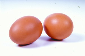 坐月子应该怎么吃鸡蛋(图)